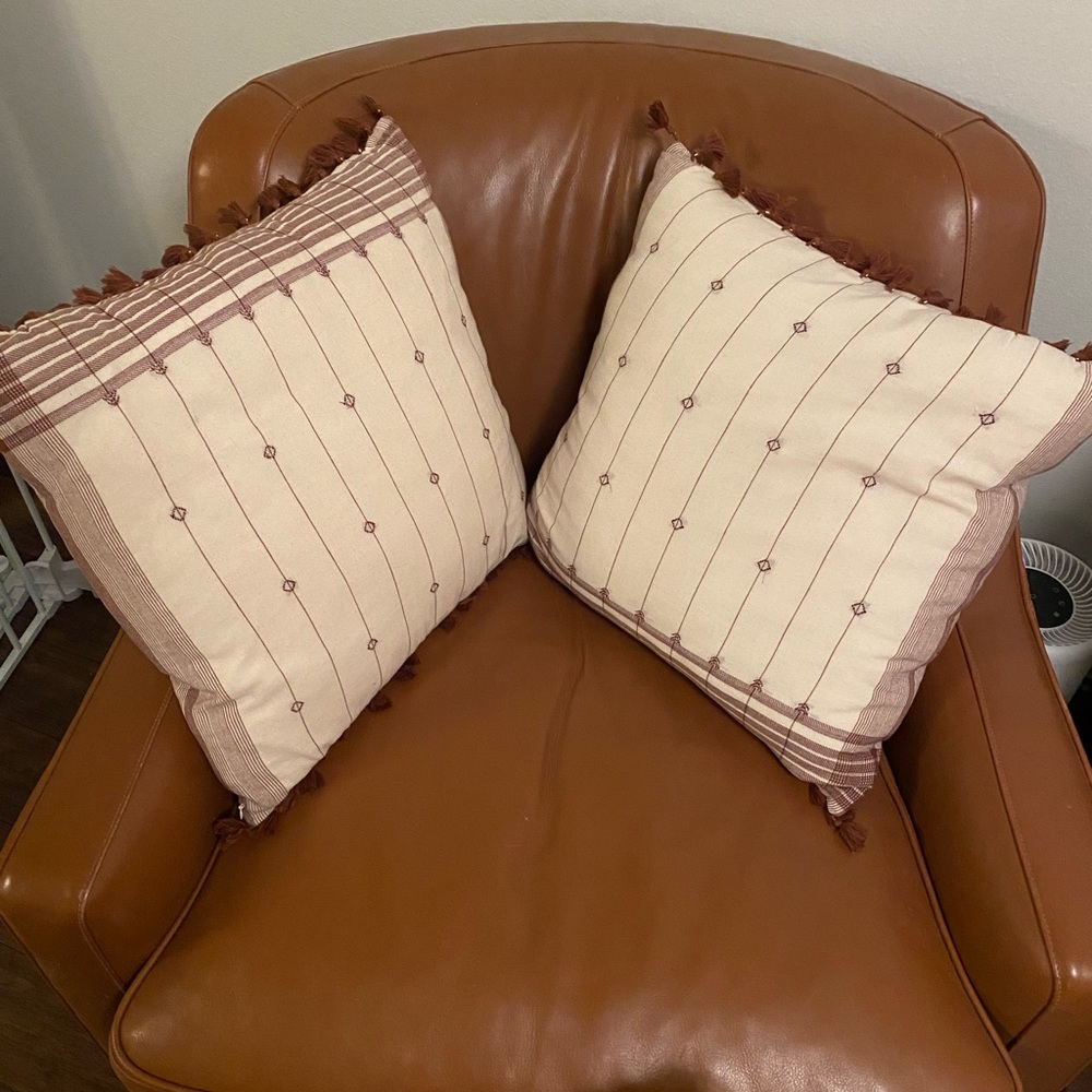 Hearth and hand pillows (2)